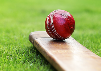 Cricket Pitch