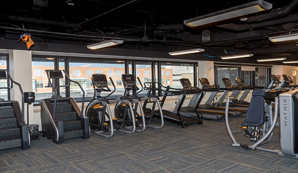 Wellness Zone